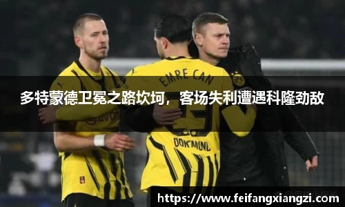 南宫NG28
